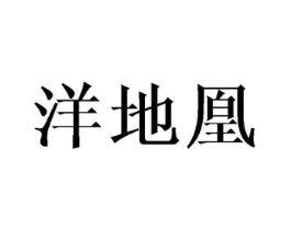 洋地凰商标原图 第25类服装鞋帽