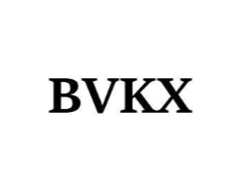 BVKX商标原图 第25类服装鞋帽