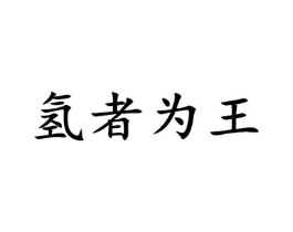 氢者为王商标原图 第25类服装鞋帽