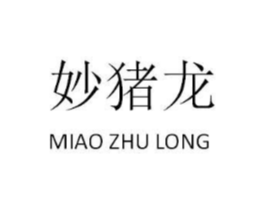 妙猪龙商标原图 第25类服装鞋帽