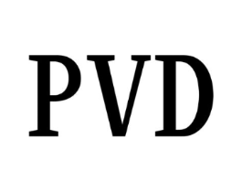 PVD商标原图 第25类服装鞋帽