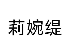 莉婉缇商标原图 第25类服装鞋帽