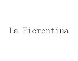 LA FIORENTINA商标原图 第25类服装鞋帽