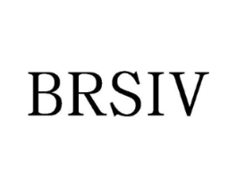 BRSIV商标原图 第25类服装鞋帽