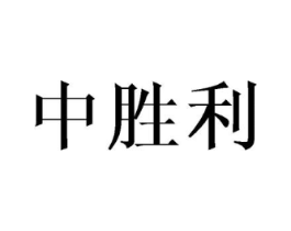 中胜利商标原图 第25类服装鞋帽
