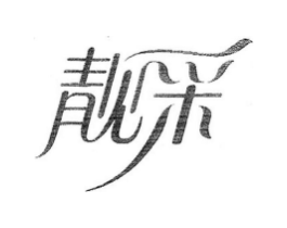 靓采商标原图 第25类服装鞋帽