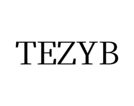 TEZYB商标原图 第25类服装鞋帽
