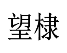 望棣商标原图 第25类服装鞋帽