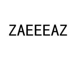 ZAEEEAZ商标原图 第25类服装鞋帽