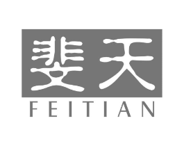 斐天商标原图 第25类服装鞋帽