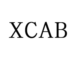 XCAB商标原图 第25类服装鞋帽
