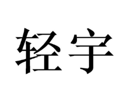 轻宇商标原图 第25类服装鞋帽