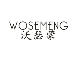沃瑟蒙商标原图 第25类服装鞋帽