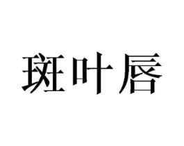 斑叶唇商标原图 第25类服装鞋帽