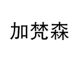 加梵森商标原图 第25类服装鞋帽