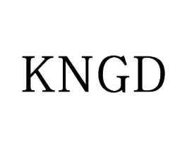 KNGD商标原图 第25类服装鞋帽