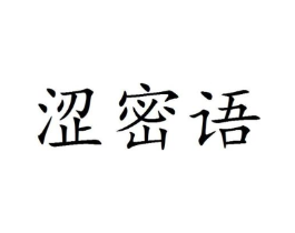 涩密语商标原图 第25类服装鞋帽