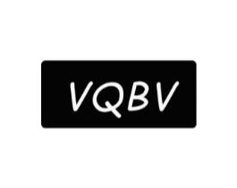 VQBV商标原图 第25类服装鞋帽