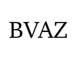 BVAZ商标原图 第25类服装鞋帽