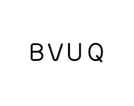 BVUQ商标原图 第25类服装鞋帽