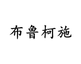 布鲁柯施商标原图 第25类服装鞋帽