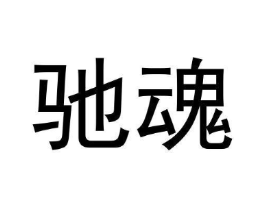 驰魂商标原图 第25类服装鞋帽