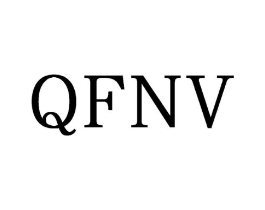 QFNV商标原图 第25类服装鞋帽