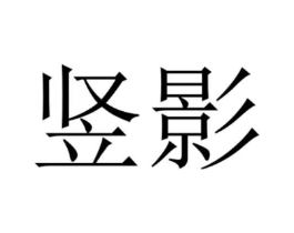 竖影商标原图 第25类服装鞋帽