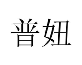 普妞商标原图 第25类服装鞋帽