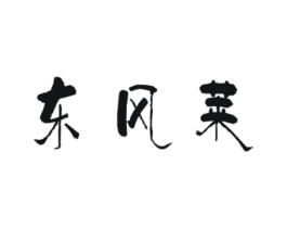 东风莱商标原图 第25类服装鞋帽