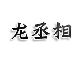 龙丞相商标原图 第25类服装鞋帽