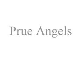 PRUE ANGELS商标原图 第25类服装鞋帽