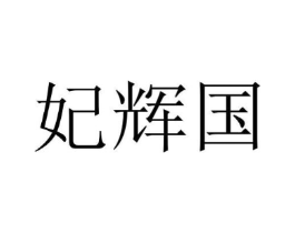 妃辉国商标原图 第25类服装鞋帽