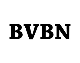 BVBN商标原图 第25类服装鞋帽
