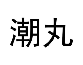 潮丸商标原图 第25类服装鞋帽