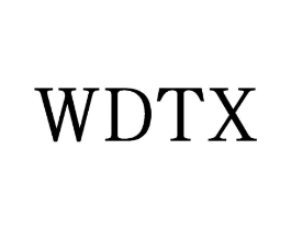 WDTX商标原图 第25类服装鞋帽