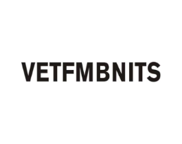 VETFMBNITS商标原图 第25类服装鞋帽