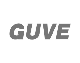 GUVE商标原图 第25类服装鞋帽