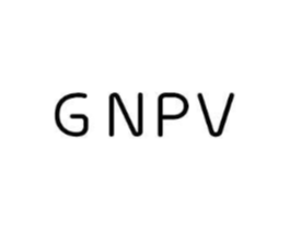 GNPV商标原图 第25类服装鞋帽