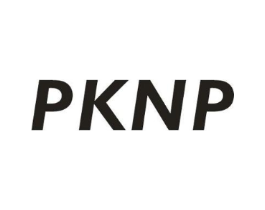 PKNP商标原图 第25类服装鞋帽
