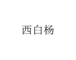 西白杨商标原图 第25类服装鞋帽