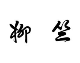柳竺商标原图 第25类服装鞋帽