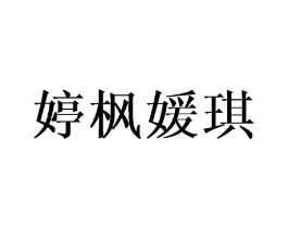 婷枫媛琪商标原图 第25类服装鞋帽