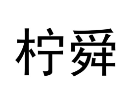 柠舜商标原图 第25类服装鞋帽