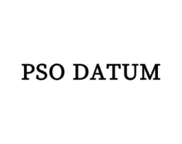 PSO DATUM商标原图 第25类服装鞋帽