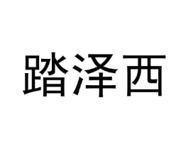 踏泽西商标原图 第25类服装鞋帽