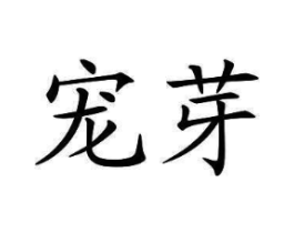 宠芽商标原图 第25类服装鞋帽