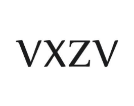 VXZV商标原图 第25类服装鞋帽