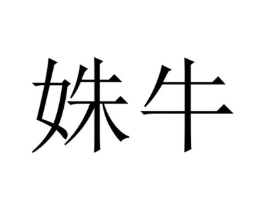 姝牛商标原图 第25类服装鞋帽