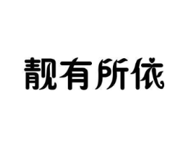 靓有所依商标原图 第25类服装鞋帽